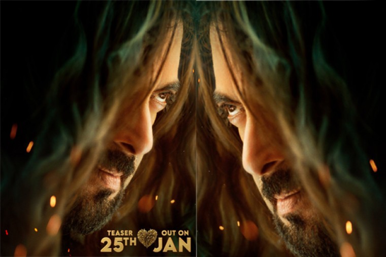 సల్మాన్ ఖాన్ 