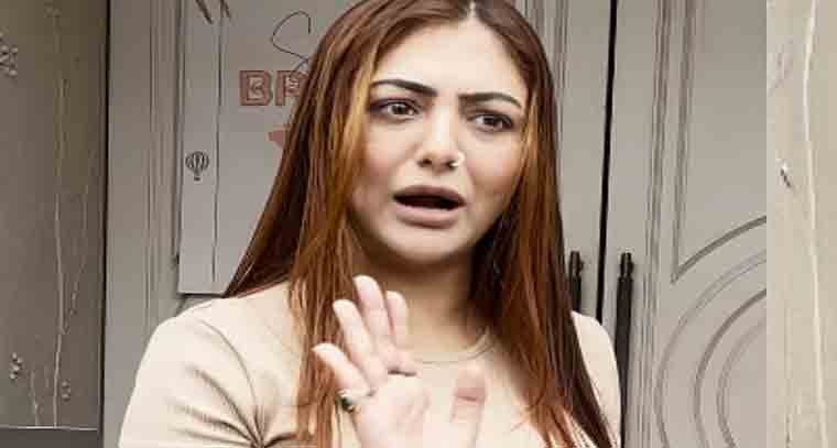 నా వ్యాఖ్యలు ఆయన పరువుకు ఎక్కడా భంగం కలిగించలేదు