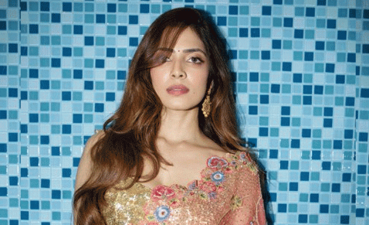 'మెగా 158' తాను భాగం కాదని కన్ఫర్మ్ చేసిన రాజా సాబ్ నటి 