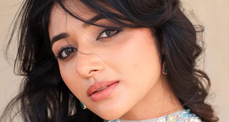 ట్రెడిషనల్ లుక్ లో మిర్నా మీనన్