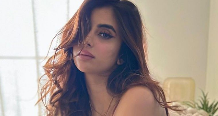 స్టన్నింగ్ లుక్స్‌తో హీటెక్కిస్తున్న  మిషా అయ్యర్ 