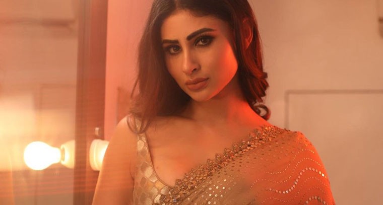  చీరలో  స్టైలిష్‌గా  మౌనిరాయ్