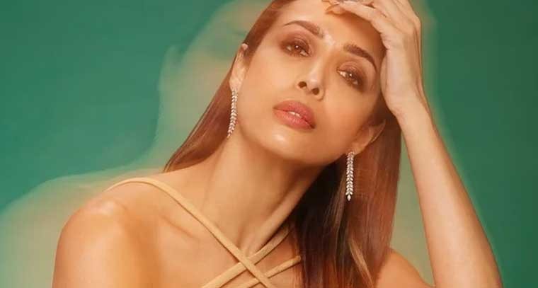 స్కిన్ ఫిట్ డీప్ నెక్ డ్రెస్ లో మలైకా అరోరా 