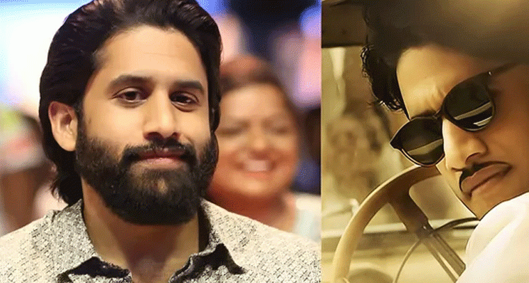 మహానటిలో ఏఎన్నార్‌ పాత్రపై నాగచైతన్య ఆసక్తికర వ్యాఖ్యలు