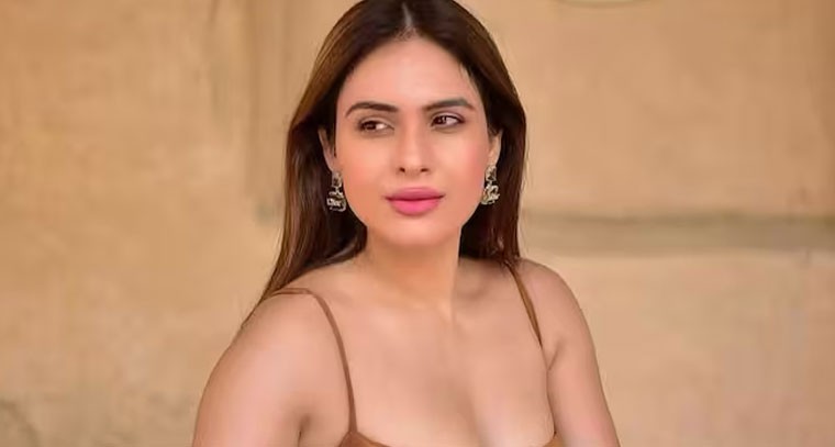 బాడీకాన్ డ్రెస్ లో నేహా మాలిక్