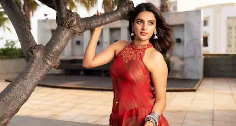 పవన్ కళ్యాణ్ భవిష్యత్తులో దేశ ప్రధాని అయినా ఆశ్చర్యం లేదు 