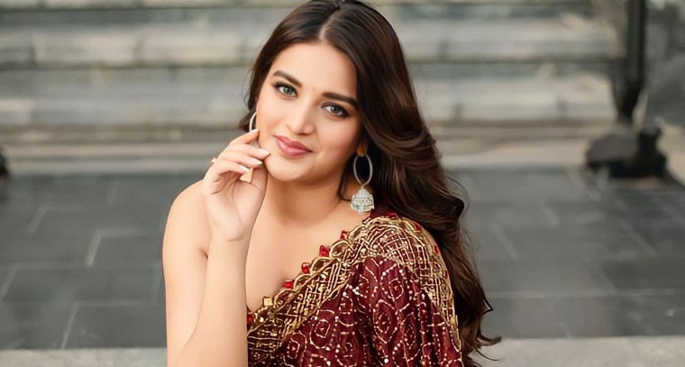 స్లీవ్ లెస్ బ్లౌజ్ లో నిధి అగర్వాల్‌ ఫోటోషూట్ !

 