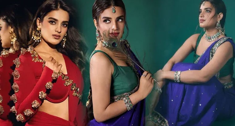 నిధి అగర్వాల్ కు చేదు అనుభవం, కాస్టింగ్ కౌచ్ పై పాత కామెంట్స్ వైరల్