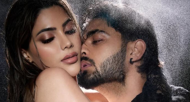 హాట్ ఫొటోస్ పోస్ట్ చేసిన నిక్కీ తంబోలి.. 