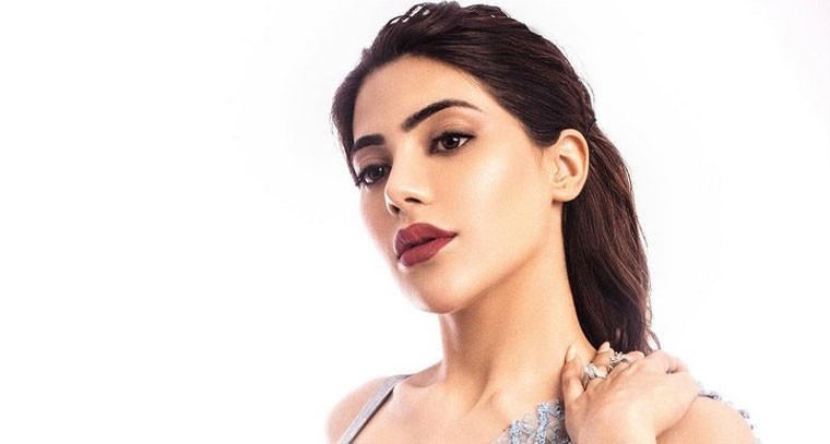 నిక్కీ తంబోలి లేటెస్ట్ స్టిల్స్ 