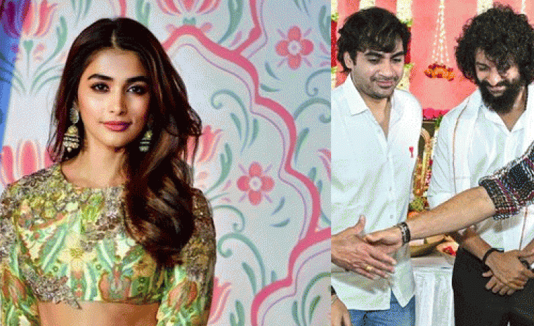 నాని - సుజీత్ చిత్రంలో పూజా హెడ్గే