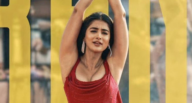 'మోలికా' అంటూ సోషల్ మీడియాను ఊపేస్తున్న బుట్టబొమ్మ