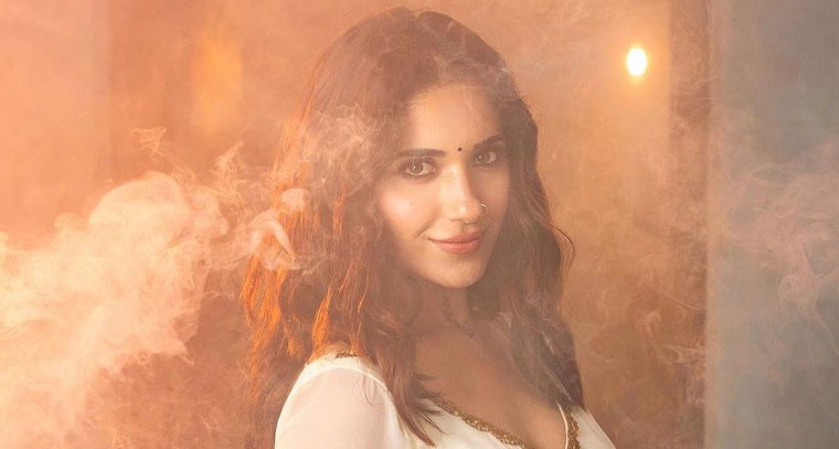 లెహంగాలో  రుహనీ శర్మ !