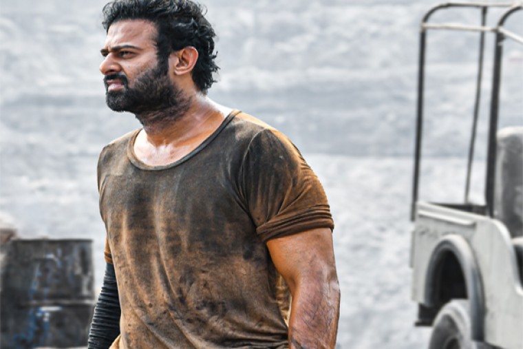 ప్రభాస్ 'సలార్' పై పృథ్విరాజ్ ఆసక్తికర వ్యాఖ్యలు 
