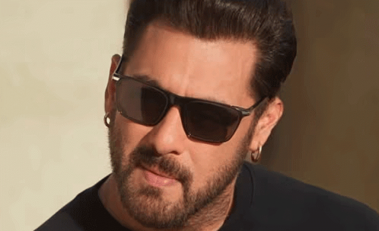 దక్షిణ ప్రేక్షకులు బాలీవుడ్ చిత్రాలను ప్రోత్సహించరు - సల్మాన్ ఖాన్