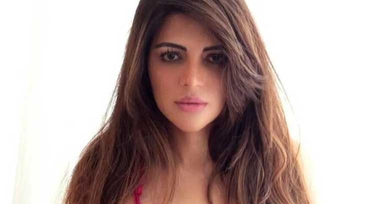పింక్ కలర్ బికినీలో షామా సికిందర్