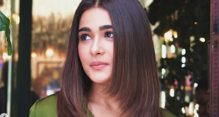 ఇంటర్నెట్‌ను షేక్ చేస్తోన్న షాలిని పాండే హాట్ ఫొటోలు