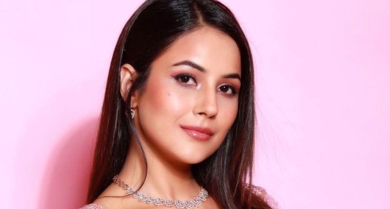 షెహనాజ్ గిల్ హోలీ పిక్స్ 