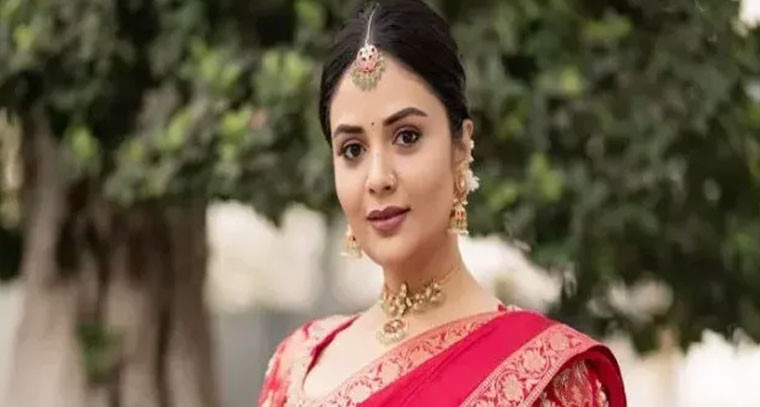 ఇప్పుడు మళ్ళీ సినిమాల్లోకి యాంకర్ శ్రీముఖి!