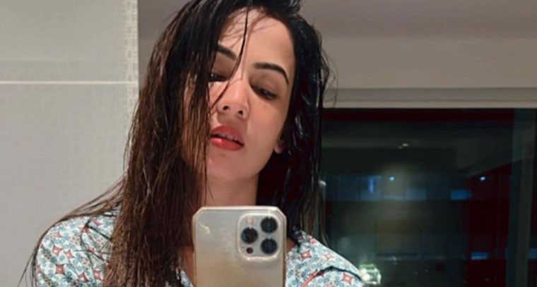 సోనాల్ చౌహాన్ మిర్రర్ సెల్ఫీ 