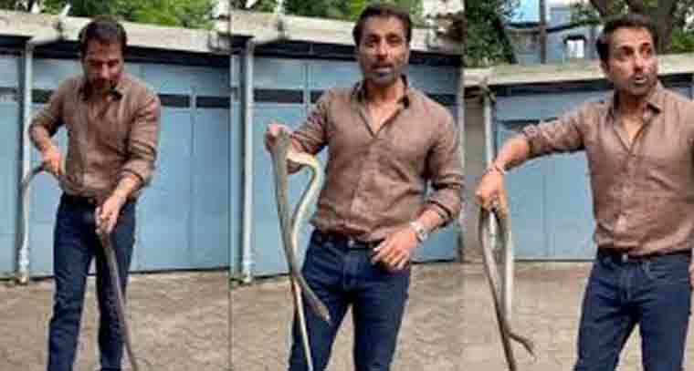 పామును పట్టుకున్న సోనూసూద్‌ 
