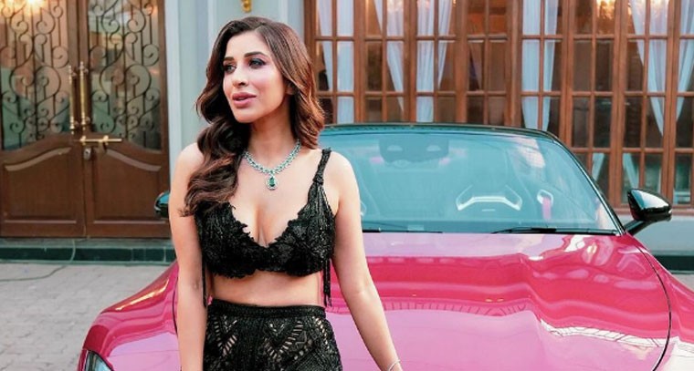 హాట్ లుక్స్‌తో సోఫీ చౌదరి 