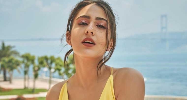 సారా అలీఖాన్ ఫోటోషూట్ స్టిల్స్ 