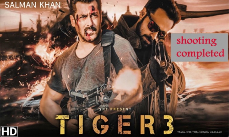 సల్మాన్ టైగర్ 3కి కొత్త టైటిల్ ఫిక్స్ 

