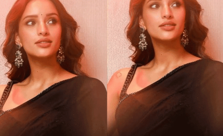 రొమాంటిక్ ఫ్రాంచైజీ నుండి తప్పుకున్న త్రిప్తి డిమ్రీ