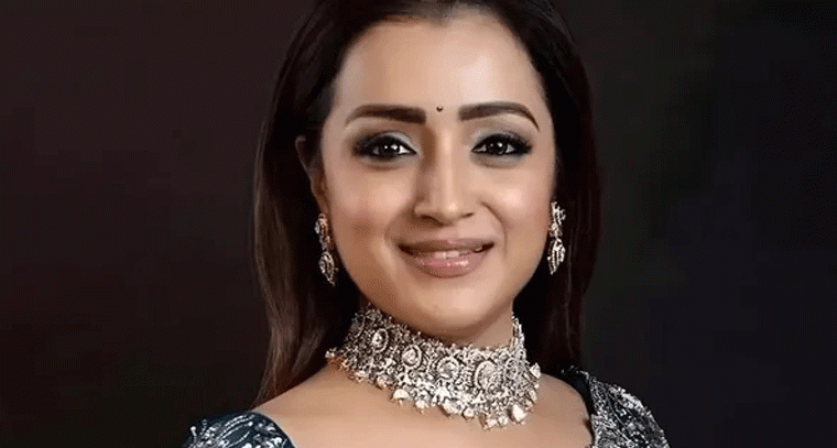 పెళ్లి వార్తలపై ఘాటుగా స్పందించిన త్రిష