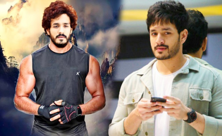 బాలీవుడ్ ఎంట్రీ ఇవ్వనున్న అక్కినేని వారసుడు ?