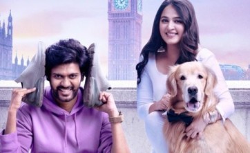 'మిస్ శెట్టి మిస్టర్ పోలిశెట్టి' 22 రోజుల డే వైస్ AP/TS కలెక్షన్స్ 