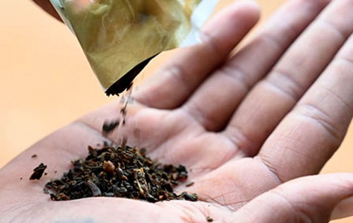 India's tobacco exports surge to record high of Rs 12,005 crore, farmers' income more than doubled