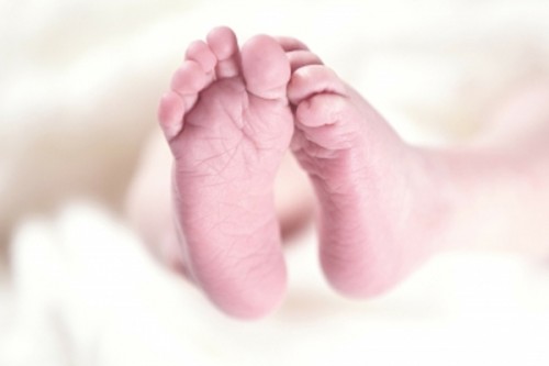 3 babies found dead in Poland: Man, daughter arrested for incest, murder
