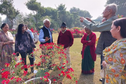 Agra to become 'bougainvillea capital' of India