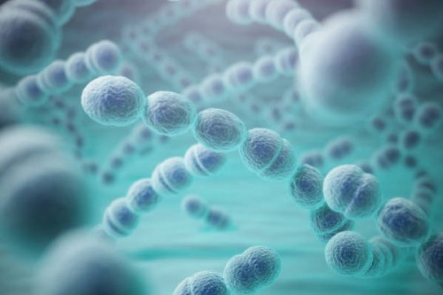 Swimming in lakes with still waters can cause bacterial pneumonia: Study