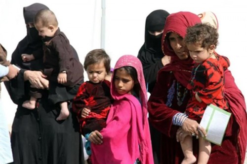 Pakistan expels another 2,239 Afghan refugees in continued crackdown