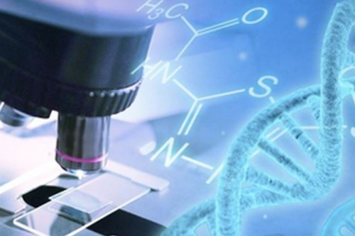 Scientists develop real-time genome sequencing to combat deadly superbug