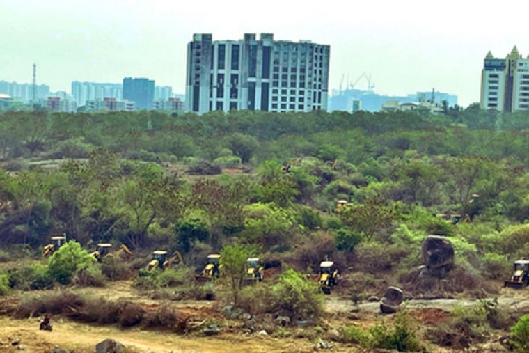 Tree-felling row: SC panel begins inspection of land near Hyderabad University