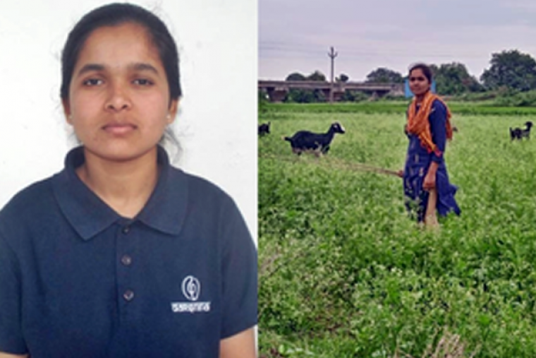 Telangana CM helps tribal girl, forced to herd goats despite securing IIT seat