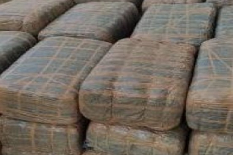 200 kg ganja seized in Hyderabad, 3 held