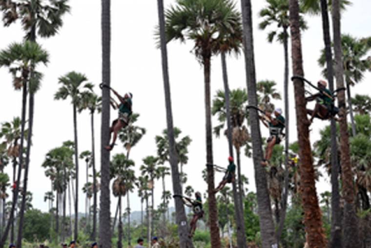 Telangana launches distribution of safety kits for toddy tappers