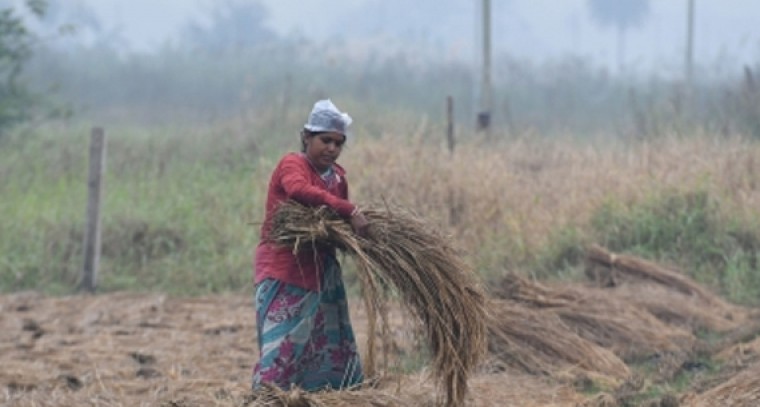Unseasonal rains hit hard Telangana paddy farmers
