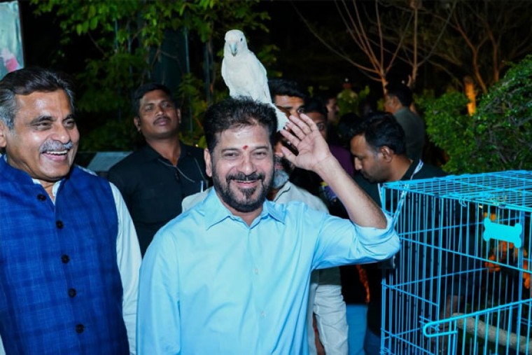 Revanth Reddy Plans Night Tourism Along Hyderabad's Musi River