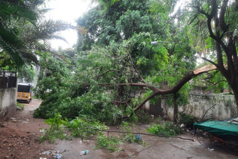 Heavy Rains Wreak Havoc in Hyderabad - Traffic, Power Hit as Trees Uprooted