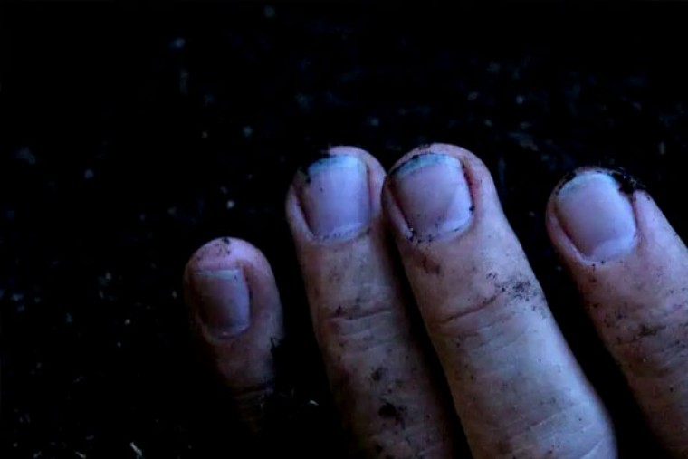 Two Women Found Dead in Separate Cases in Hyderabad, Police Launch Probe