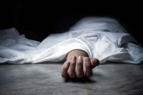Car driven by Excise official's son runs over woman voter in Telangana
