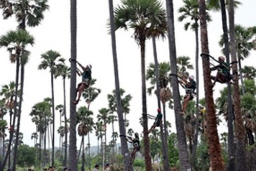 Number of people affected by adulterated toddy in Hyderabad rises to 37