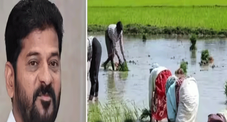 సంక్రాంతి తర్వాత కొత్త పట్టాదారుల నుండి దరఖాస్తులు.. రైతు భరోసాపై కీలక అప్‌డేట్