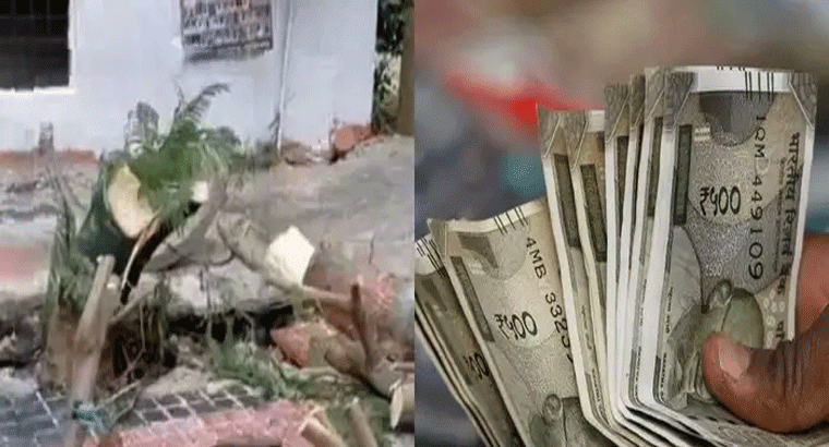 చెట్లను నరికినందుకు.. రూ.లక్ష జరిమానా విధింపు